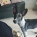Elmer Probst - Facebook