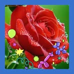 Elmer Rex - Facebook