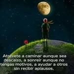 Elmer Salgado - @elmer.salgado.334 - Instagram