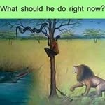 Elmer Scotts - @elmer.scotts.7 - Instagram