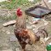 Elmer Stone - Facebook