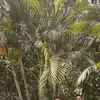 Elmer Temple - @elmer.temple - TikTok