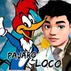 El pájaro loco - @elmervail3 - TikTok