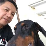 Elmer Fabian Velez - @elmervelez96 - Instagram