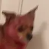 Elmer Willard - @user7882277126759 - TikTok