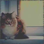 Elmer William - @nadinevolkmanvmd - Instagram