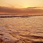 Elmer William CH - @elmerwilli69 - Instagram