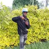 Elmer William - @elmer.william6 - TikTok
