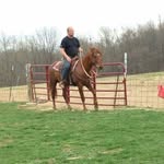 Elmer Williams - @elmer.williams.7505 - Instagram
