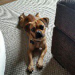 Elmer Wright - @elmstagram25 - Instagram