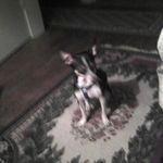 elmerwright - @elmerwright6882 - Instagram