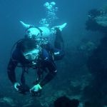 Elmer Wu - @elmerwu0726 - Instagram