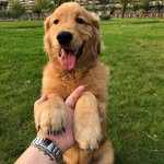 Elmer_Wu - @55.3564849 - Instagram