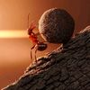 Elmir_Məmmədov - @elmir_mammadov - TikTok