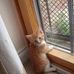Elmo Bennett - Facebook