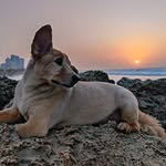 Terry Ramirez - @terryelmo22 - Instagram