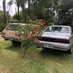 Elmo Torres - @elmotorres68 - Instagram