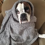 nora bond - @norabond50 - Instagram