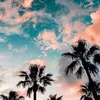 Eleanor Henderson - @eleanor.henderson1 - TikTok