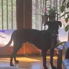 Nora Holmes - @n.m.holmes - TikTok
