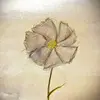 Eleanor.Howell - @lowelikthtf - TikTok
