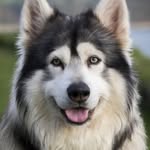 nora joseph - @njphotographer7 - Instagram