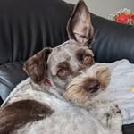 Nora Klein - @frankie_multiplies - Instagram