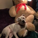 Nora May Langley - @langleynora - Instagram