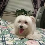 elnora.   levy - @elnoralevy816 - Instagram