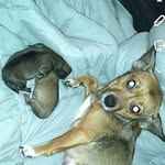 Nora Long - @nora.long.5855 - Instagram