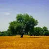 lotaelnora - @lotaelnora - TikTok