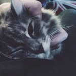 Elnora Lowe - @powlowskimaddis72769 - Instagram