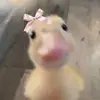 Eleanor Mitchell - @eleanor.mitchell4 - TikTok