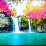 Elodia Solis - @elodia_solis_gallardo - Instagram