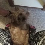 Eloina Lopez - @eloina4238 - Instagram