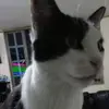 Eloisa Arias - @eloisaarias - TikTok