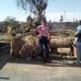 Eloisa Bravo - Facebook