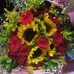 Eloisa Castillo - Facebook