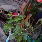 Eloisa Cisneros - Facebook