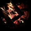 eloisagallo6646 - @eloisagallo6646 - TikTok