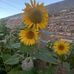 Eloisa Herrera - Facebook