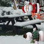 Eloisa Jacinto - @eloisa.jacinto - Instagram