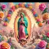 Eloisa Jacinto Carrasco - @eloisa.jacinto.ca - TikTok