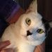 Eloisa Jensen - Facebook