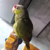 EloisaLara - @eloisalara897 - TikTok