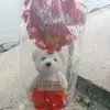 Eloisa May San Jose - @eloisa.may.san.jo - TikTok
