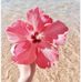 Eloisa Mendez - Facebook