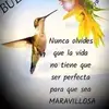 Eloisa Mendez - @eloisamendez68 - TikTok