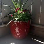 Eloisa Nevarez - @eloisa_nevarez1 - Instagram