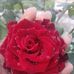 Eloisa Ortega - Facebook
